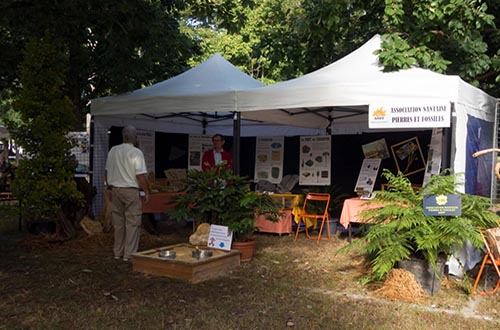 La folie des plantes 2017