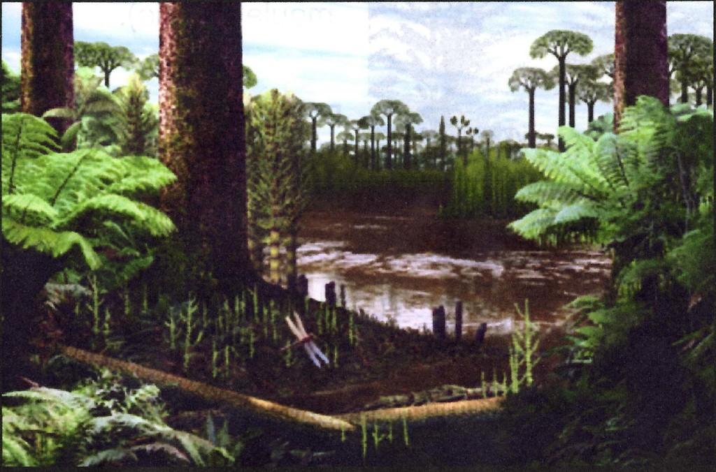 Forêt-du-carbonifère