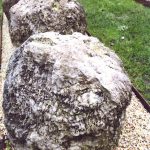  Stromatolites
