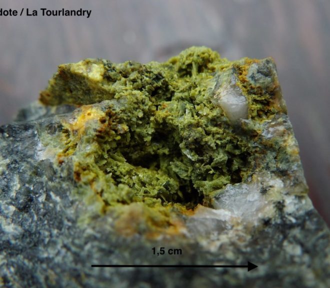 La Tourlandry : l’Angibourgère 49 (carrière)