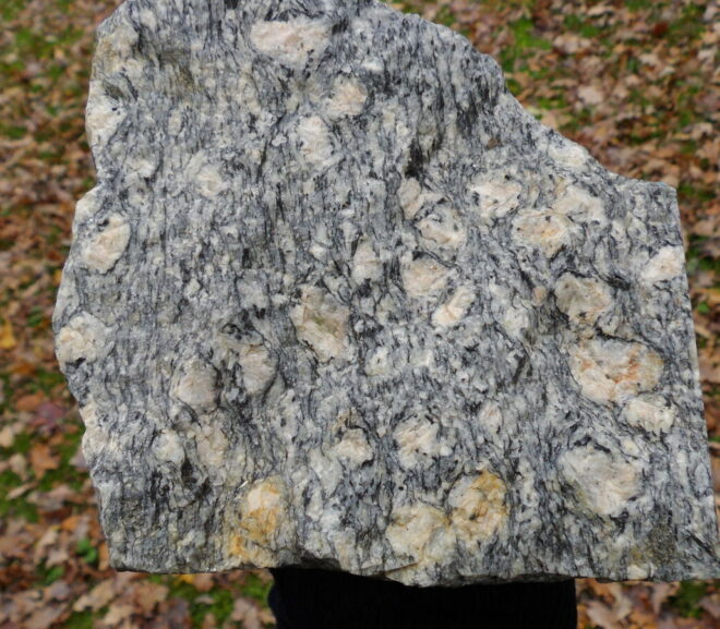 La Faubretière , La Haye-fouassière 44 (carrière)