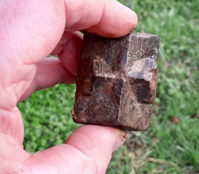 La Chapelle-Neuve (56) , les Staurotides